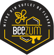 IconiQ media wireframe (1)