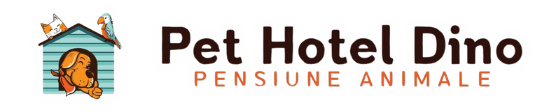 IconiQ media wireframe (7)